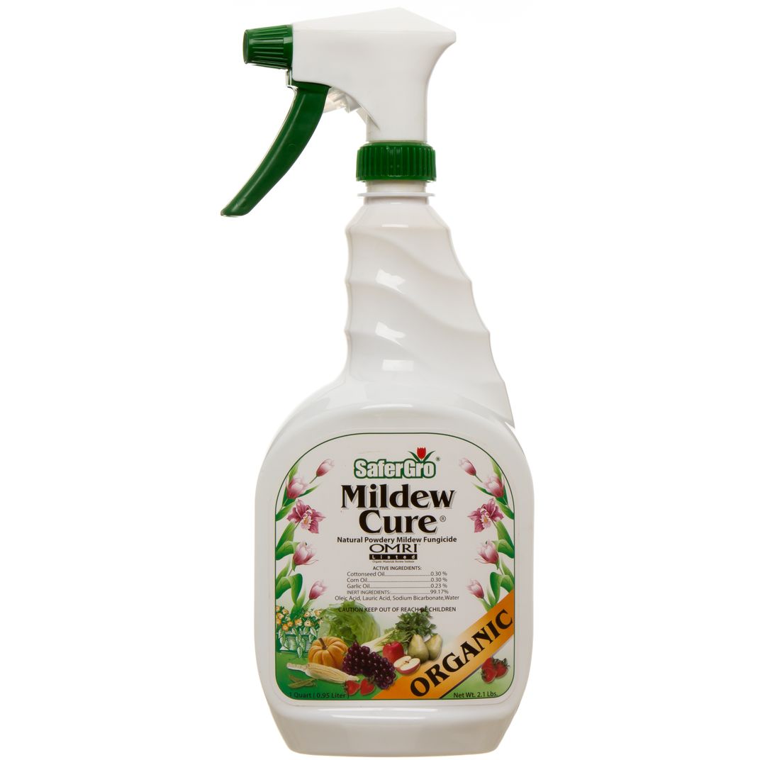SafeGo Mildew Cue | OMI Listed - ABICO Oganics