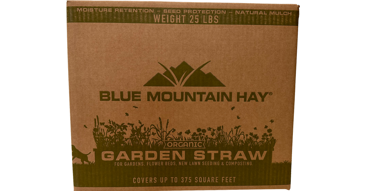 Blue Mountain Hay Garden Straw, Organic - Azure Standard