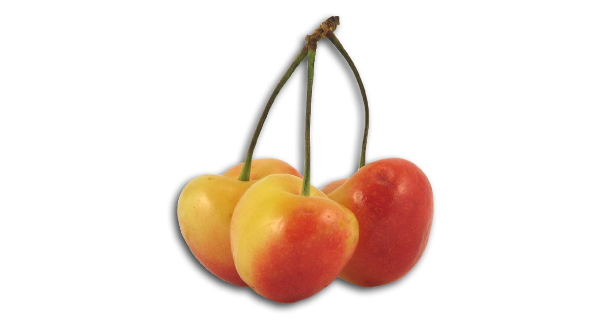 cherryオーダーページ Give the Store Gift Box - Made in Michigan | Cherry Republic