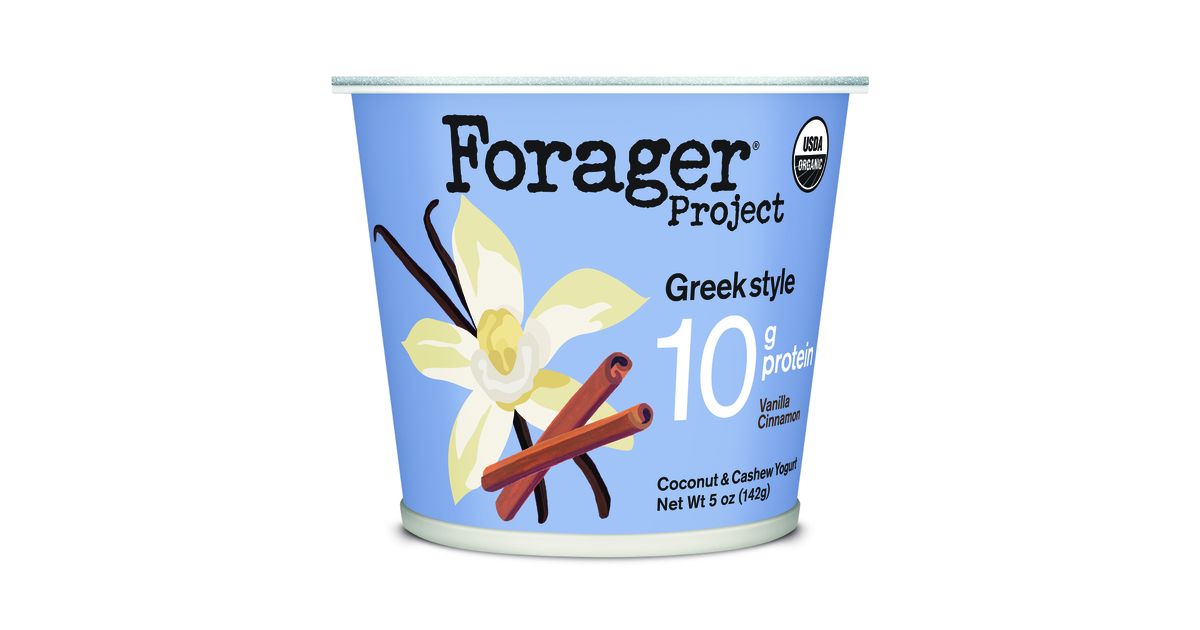 Forager Project Greek Yogurt, Vanilla Cinnamon, Dairy-Free, Organic ...