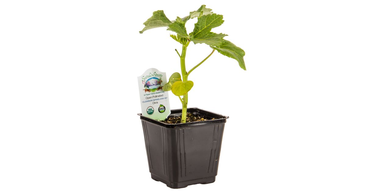 food for weed plants Cannabis Fertilizer | Marijuana Fertilizer main image 1