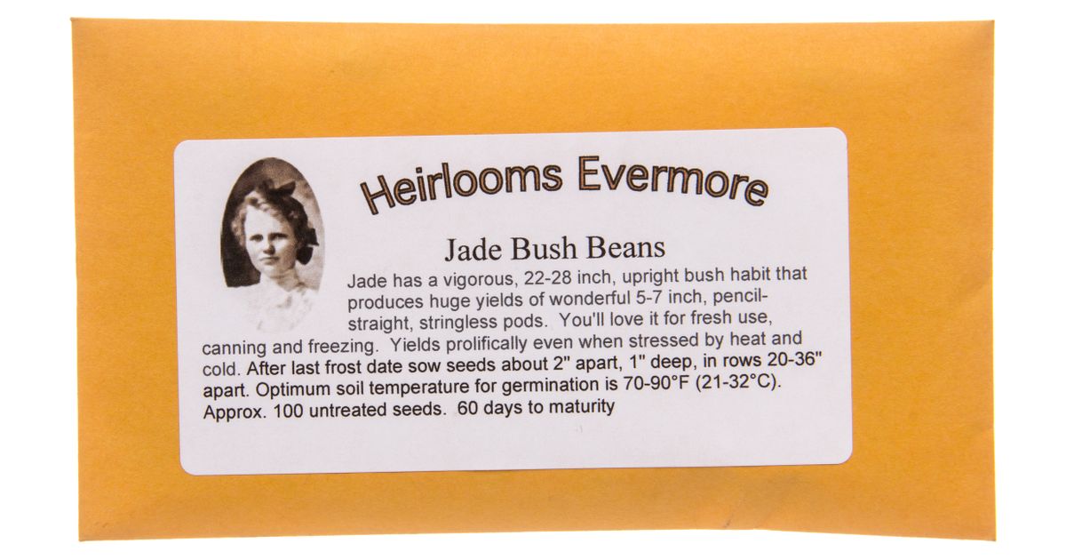 Heirlooms Evermore Jade Bush Bean Azure Standard