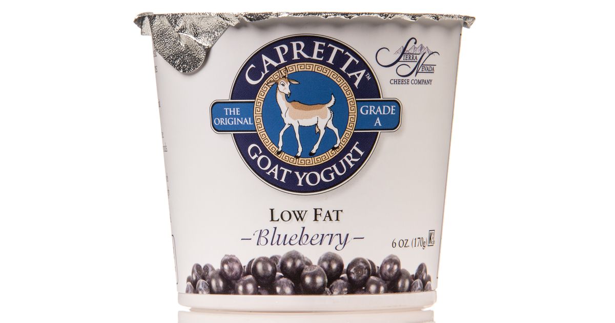 Sierra Nevada Cheese Company Capretta, Goat Yogurt, Low Fat, Blueberry