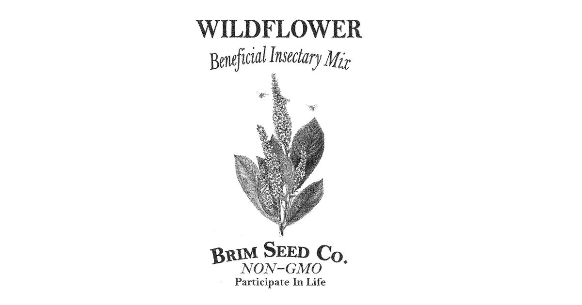 Brim Seed Co. Flower, Wildflower, Beneficial Insectary Mix - Azure Standard