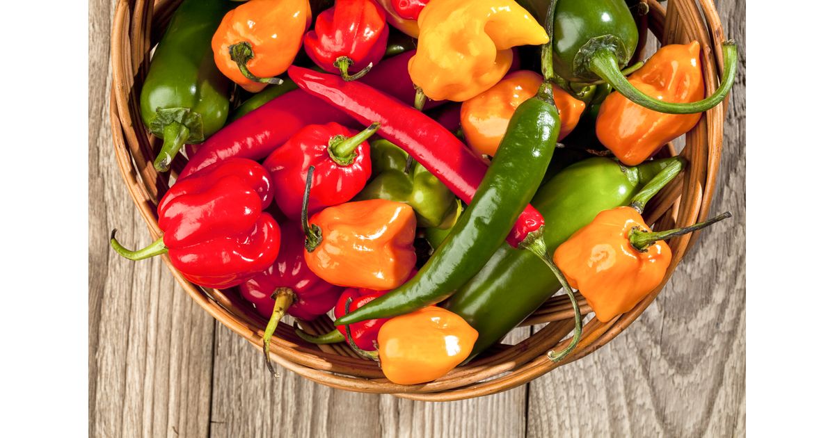 Ellie's Eden Live Plants Hot Pepper Variety, Organic - Azure Standard