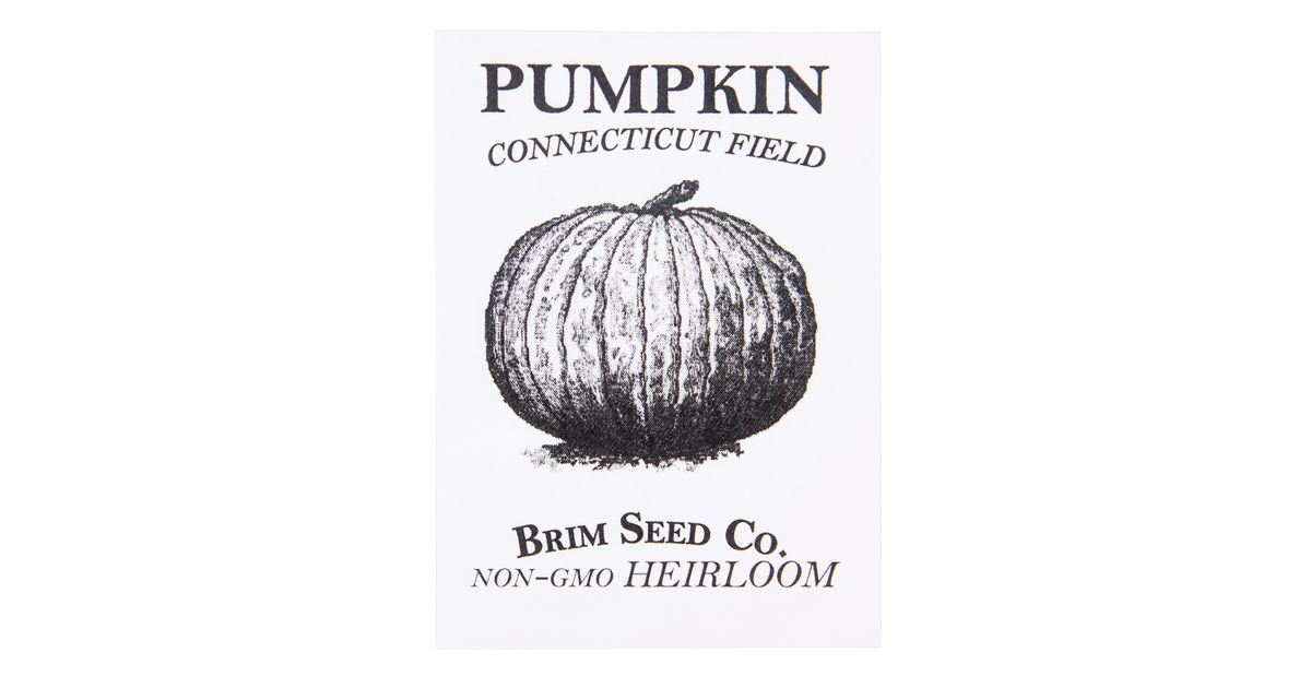 Premium Connecticut Field Pumpkin - Fresh Organic