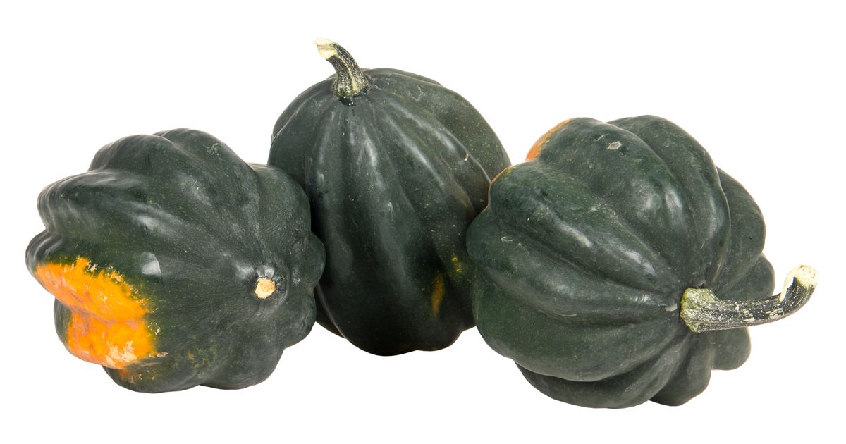 Azure Husbandry Squash, Acorn, Organic - Azure Standard
