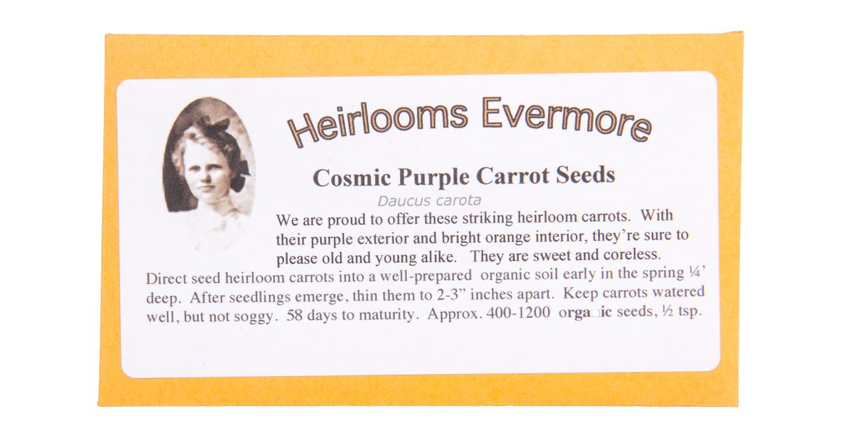 Heirlooms Evermore Cosmic Purple Carrot Seeds, Organic Azure Standard