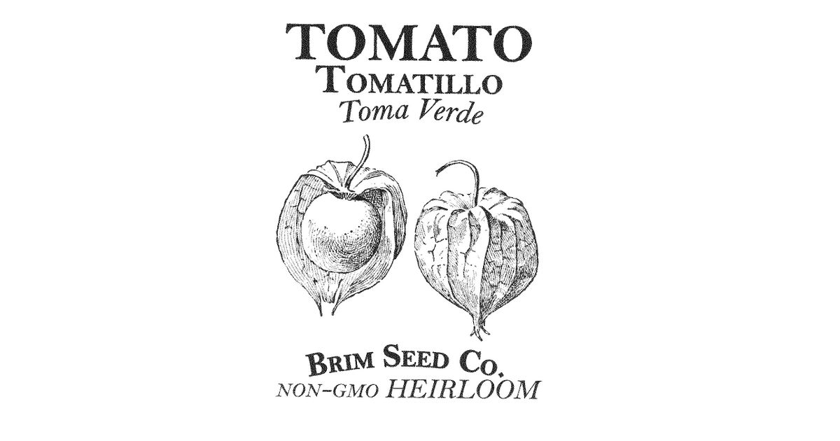 Brim Seed Co. Tomato, Tomatillo Verde, Heirloom Seed Azure Standard