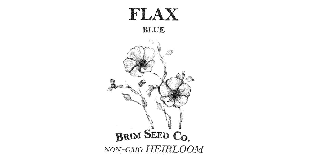 Brim Seed Co. Flower, Flax, Blue, Heirloom Seed - Azure Standard