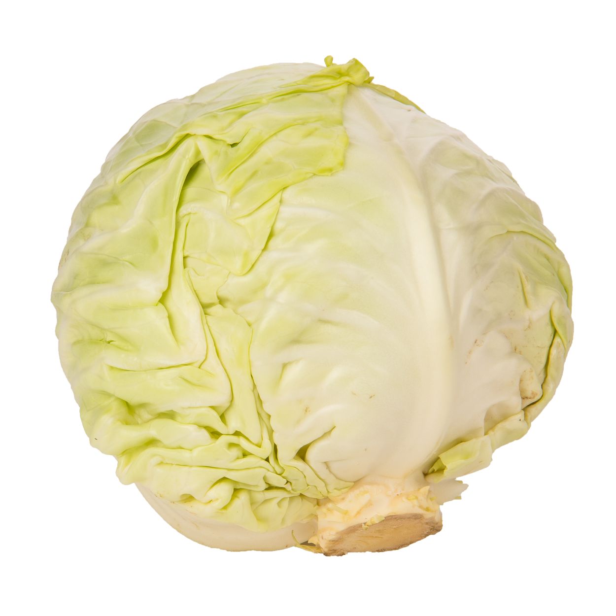 Cabbage weight best sale
