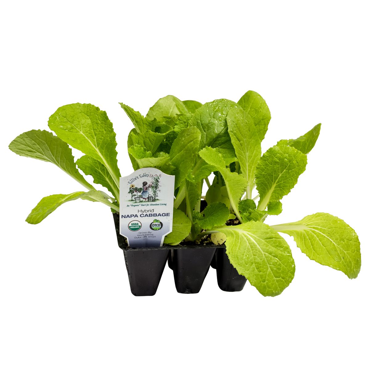 英国製   【covered vegetable】 Warwick B9059 Vintage Oval Covered Vegetable Bowl | eBay