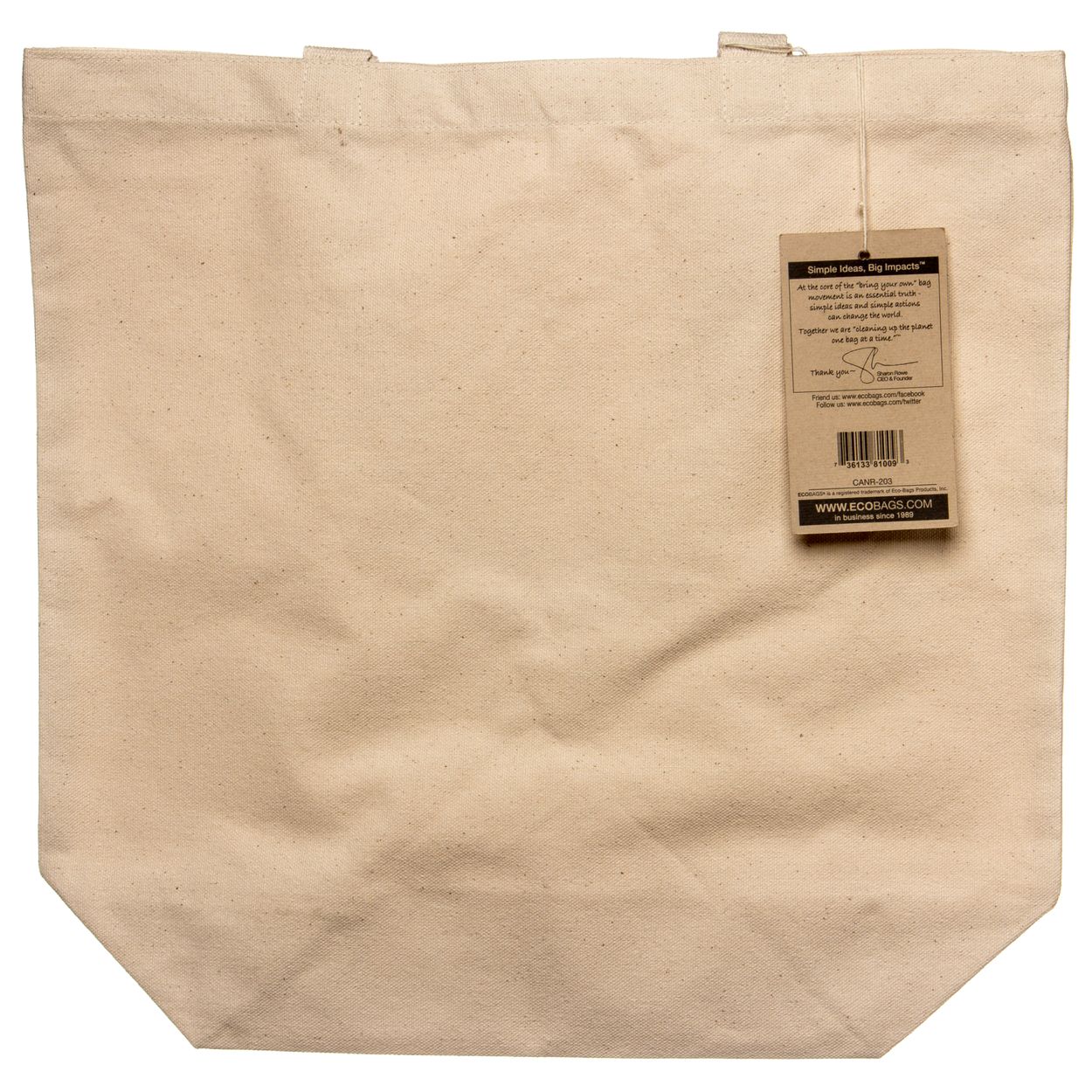★TOUT Y EST★ Canvas Basic Messenger Eco Bag AGT202520 5004 ECOBAGS® Canvas Reusable Tote bag - Azure Standard