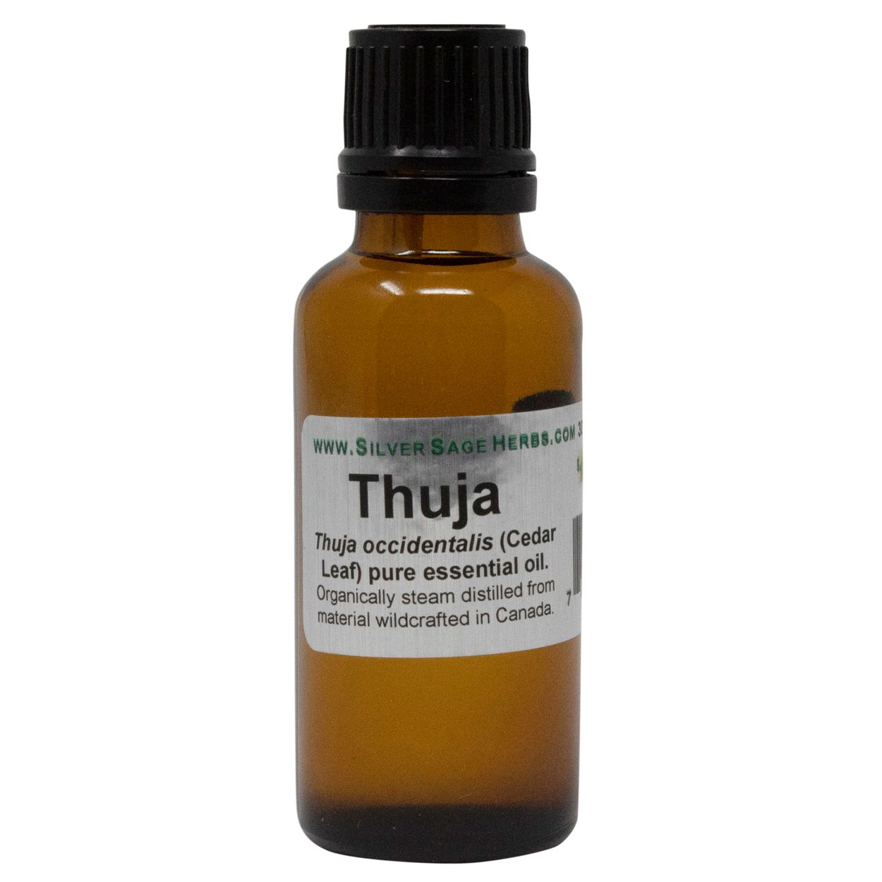 Silver Sage Thuja, Cedar Leaf, Essential Oil - Azure Standard