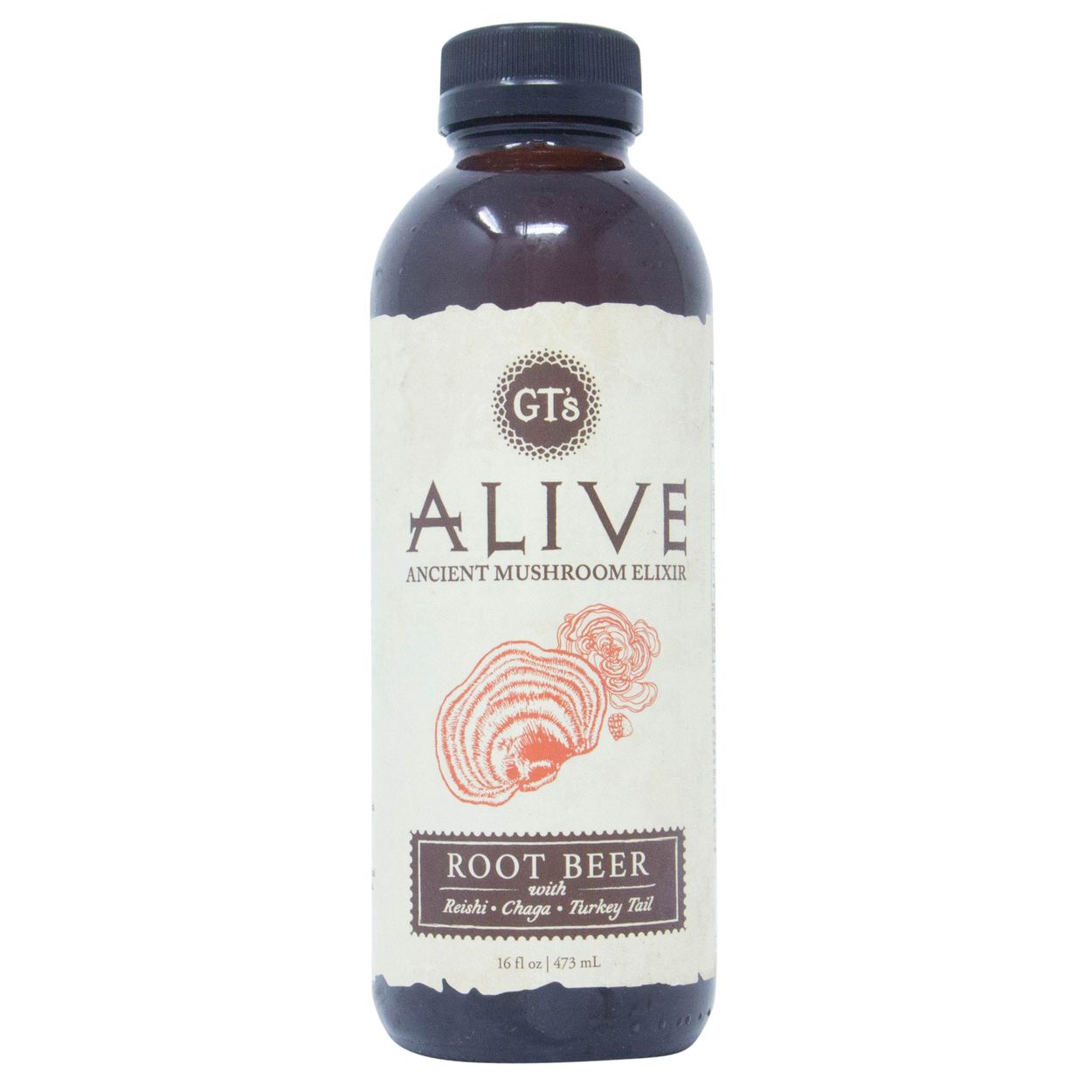 GT's ALIVE ALIVE, Ancient Mushroom Elixir, Root Beer - Azure Standard