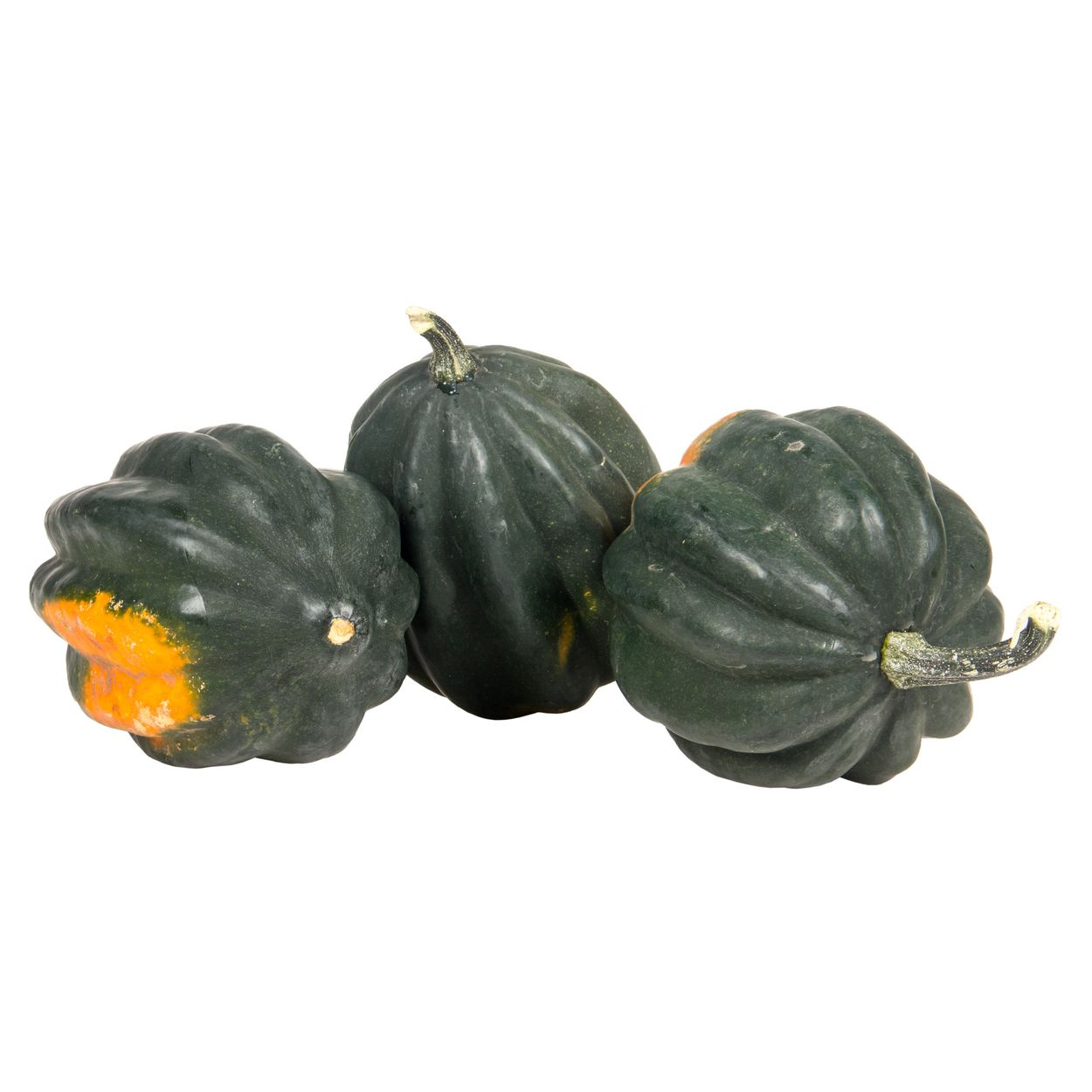 Azure Husbandry Squash, Acorn, Organic - Azure Standard
