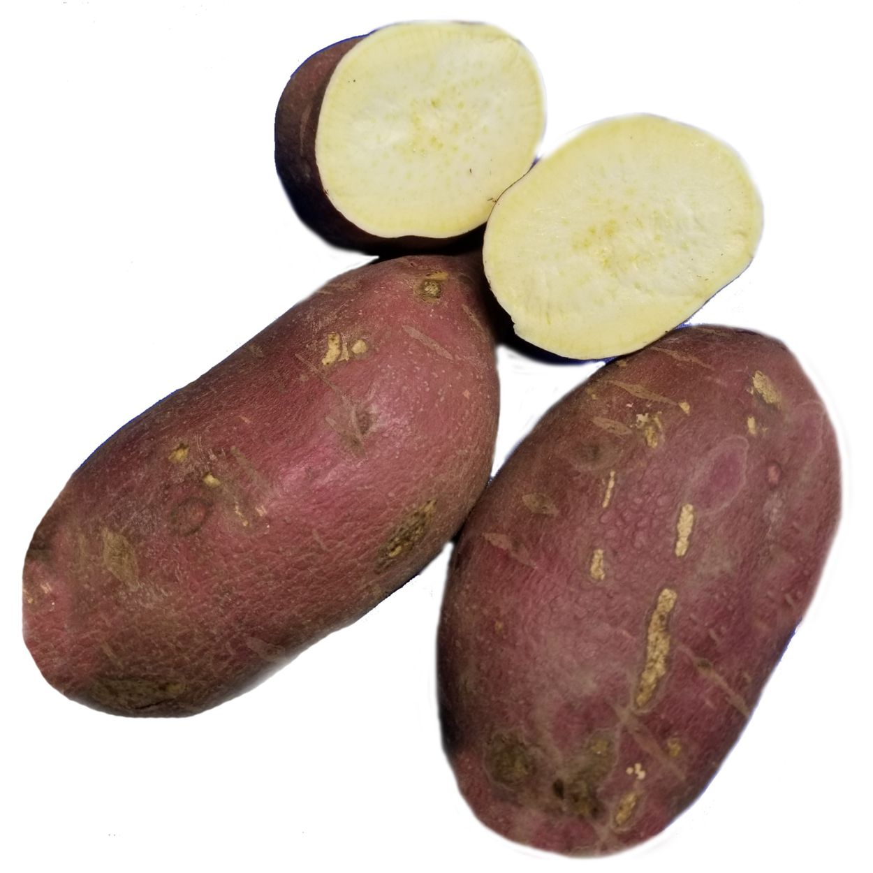Organic Murasaki Sweet Potatoes - 1 LB – Fresh by 4Roots