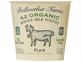 Bellwether Farms Yogurt, Whole Milk, Plain, A2 Organic - Azure