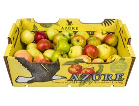 Organic Juice Grade Gala Apples