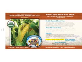 Azure Husbandry Double Standard Sweet Corn Seed, Organic - Azure