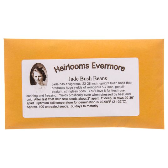 Heirlooms Evermore Jade Bush Bean Azure Standard