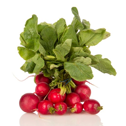 Radish リトグラフ 00033383670034.png