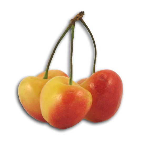 Azure Husbandry Cherries, Rainier, Organic Azure Standard