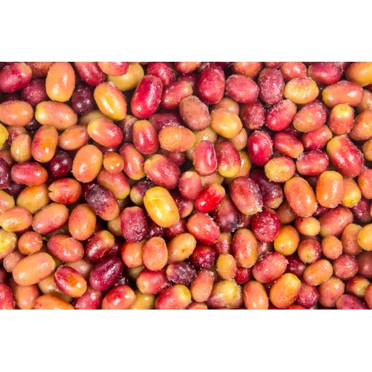 Rain Sweet Grapes, Whole, Frozen, Organic Azure Standard