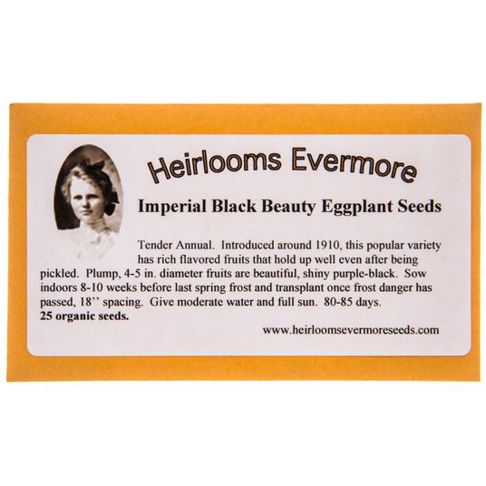Heirlooms Evermore Imperial Black Beauty Eggplant Seeds Azure Standard