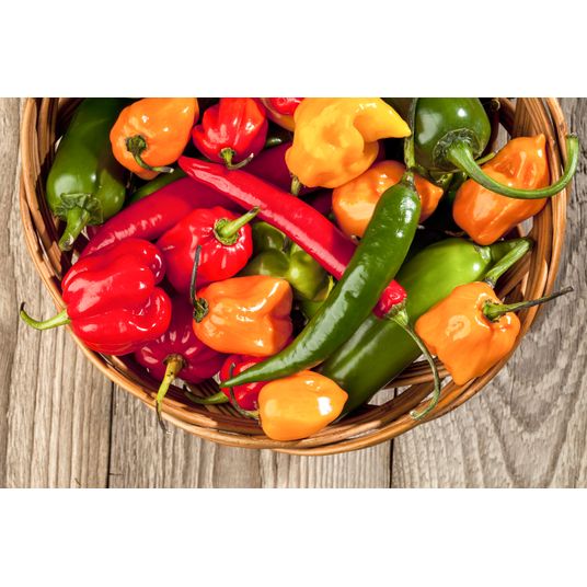 Ellie's Eden Live Plants Hot Pepper Variety, Organic - Azure Standard