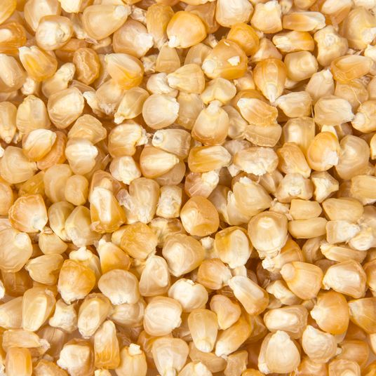 Azure Husbandry Double Standard Sweet Corn Seed, Organic - Azure