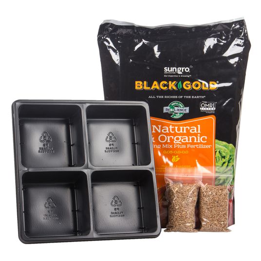 Ellie's Eden Wheatgrass Kit, Organic Azure Standard