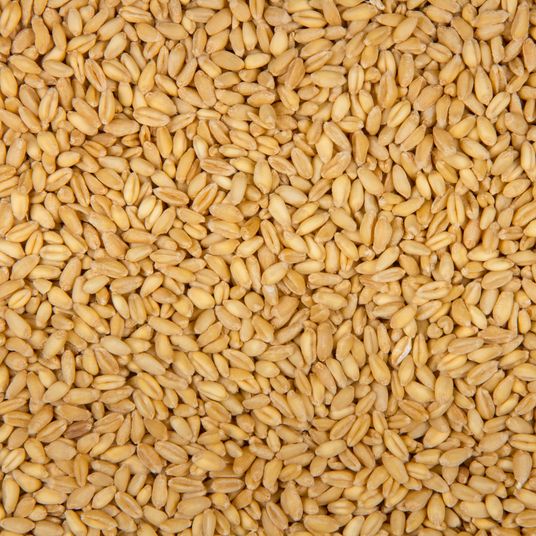 Azure Market Organics Soft White Wheat Organic Azure Standard