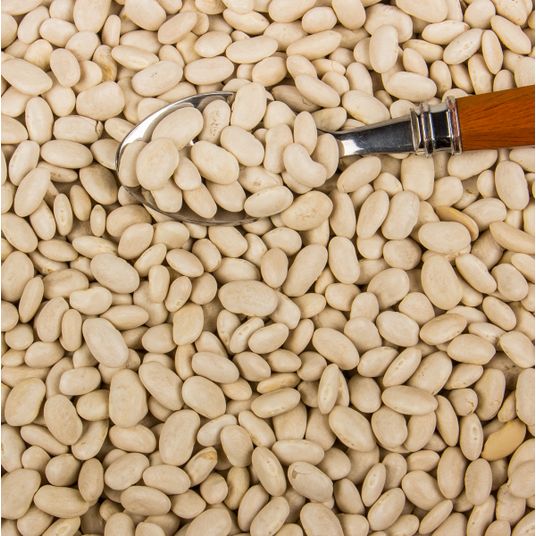 Wild Harvest Great Northern Beans, Organic 15 Oz